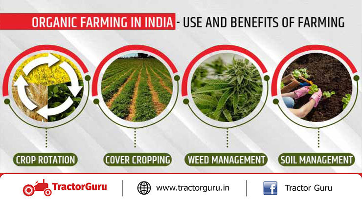 Organic Farming in India - Use and Benefits of Farming