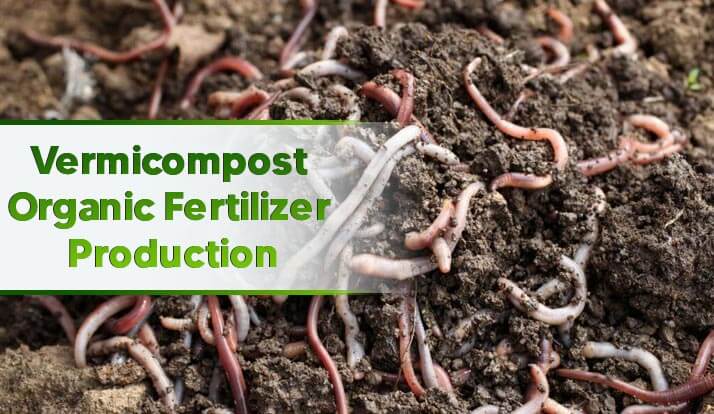 Vermicompost Organic Fertilizer Production 