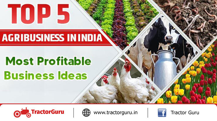 Top 5 Agribusiness in India - Most Profitable Business Ideas