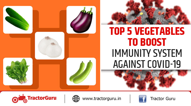 Top 5 Vegetables to Boost Immune System