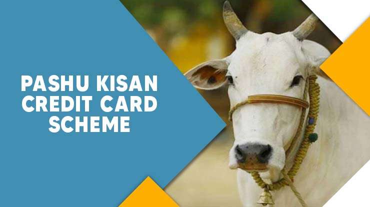 Pashu Kisan Credit Card Scheme