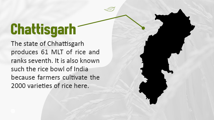 Rice in Chhattisgarh