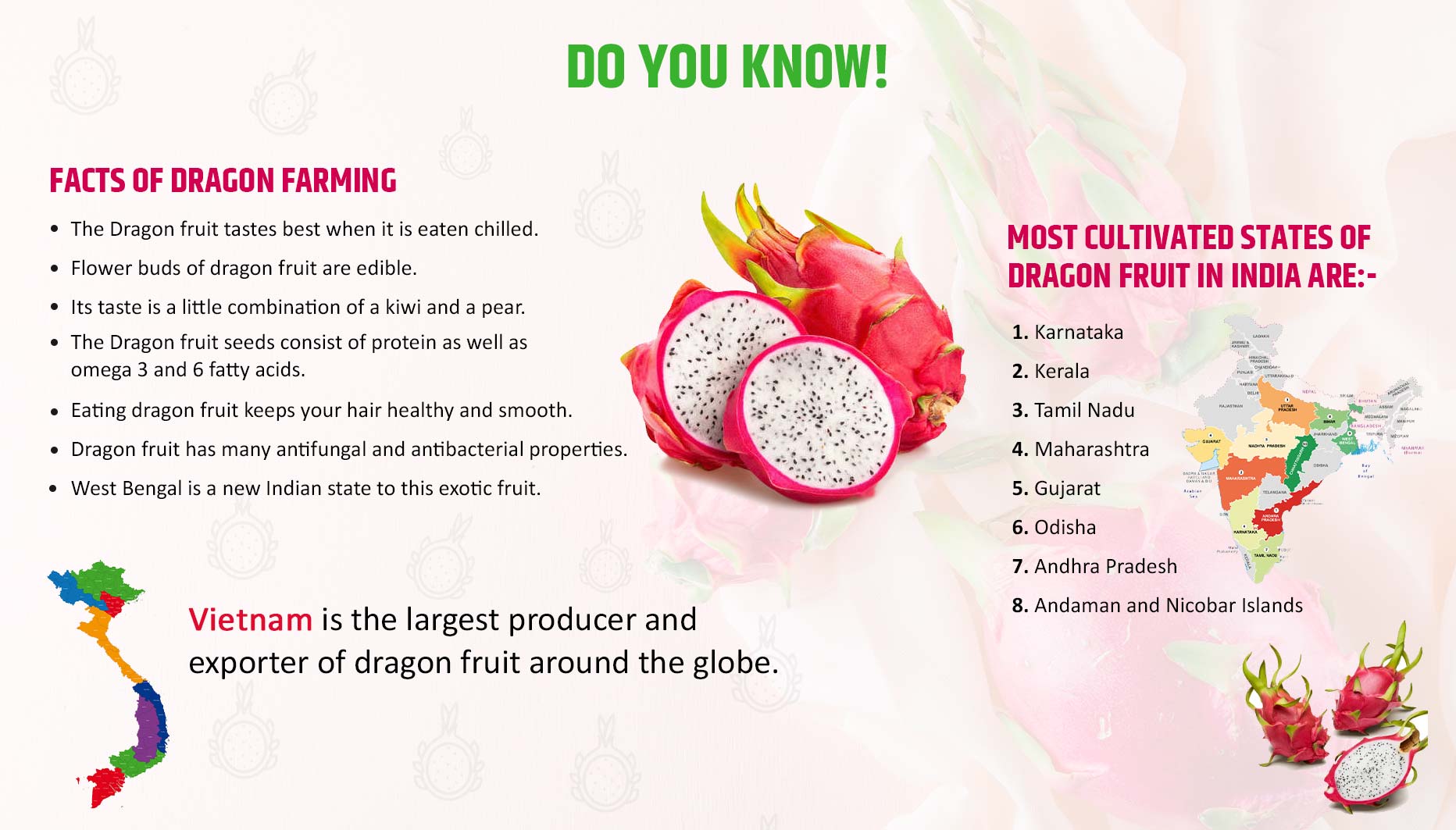 About Dragon Fruit