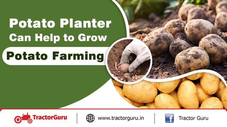 Potato Planter Can Help to Grow Potato Farming Productivity