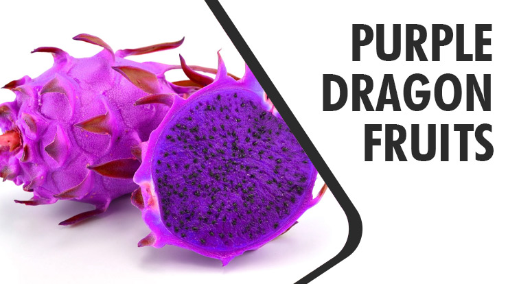 Purple Dragon Fruit