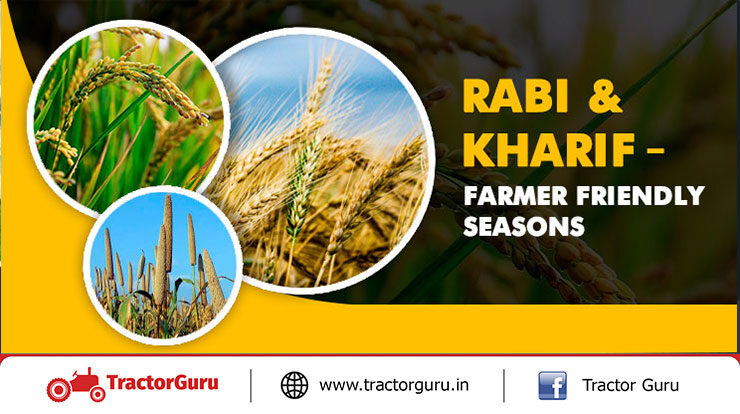 Rabi and Kharif Season - Farmers Friendly Seasons for Cultivation in India