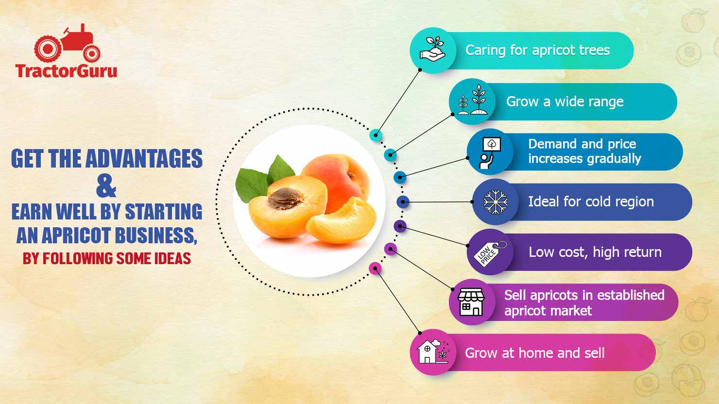 Advantages of Starting an Apricot Farming Business