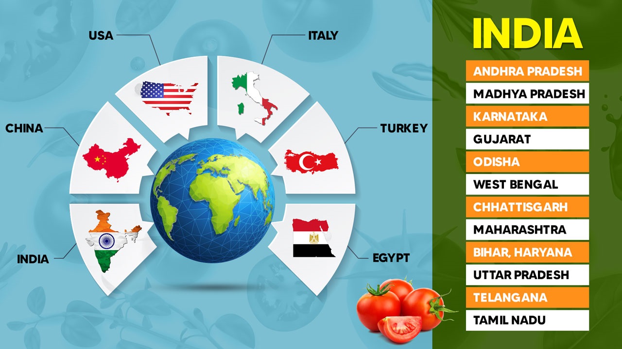 Largest Tomato Producing Countries
