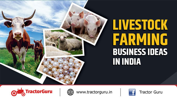 Most Profitable Livestock Farming Business Ideas in India
