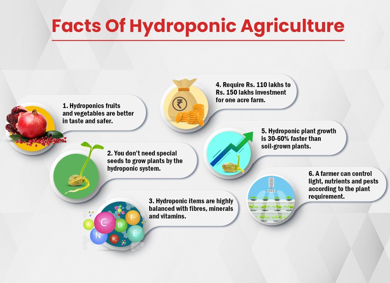 Facts Of Hydroponic Agriculture