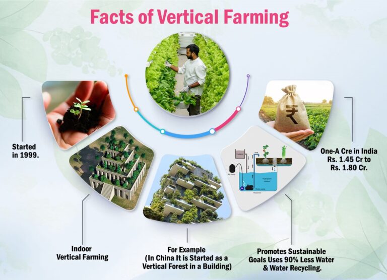 Modern Vertical Farming In India With Complete Overview