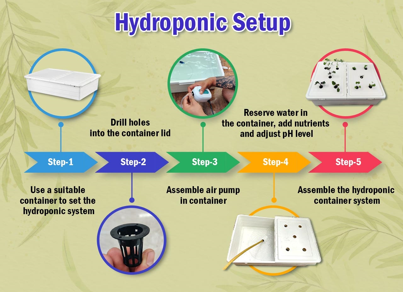 Hydroponics Setup Steps