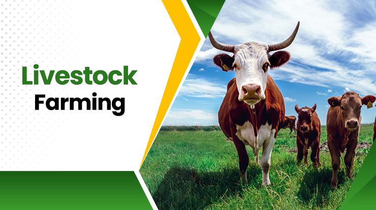 Livestock-Farming 