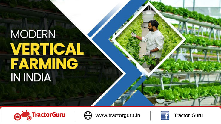 Modern Vertical Farming In India With Complete Overview
