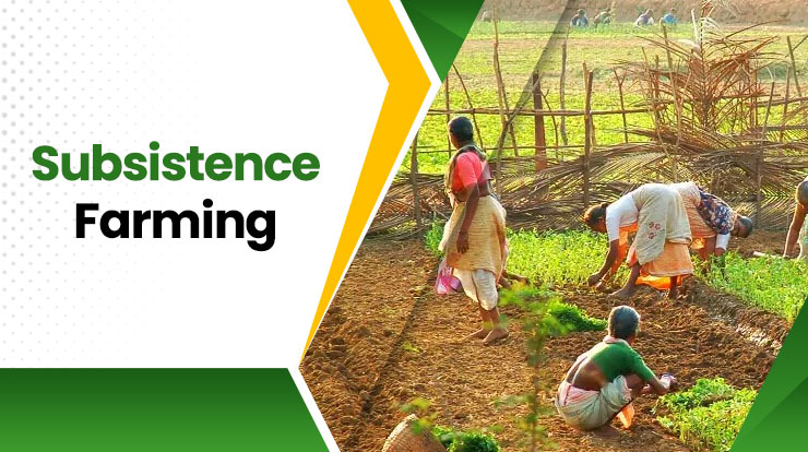 Subsistence-Farming