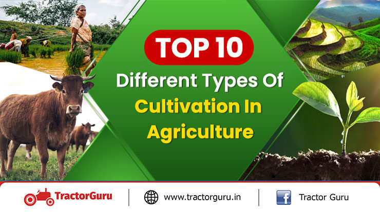 Top 10 Different Types Of Cultivation In Agriculture