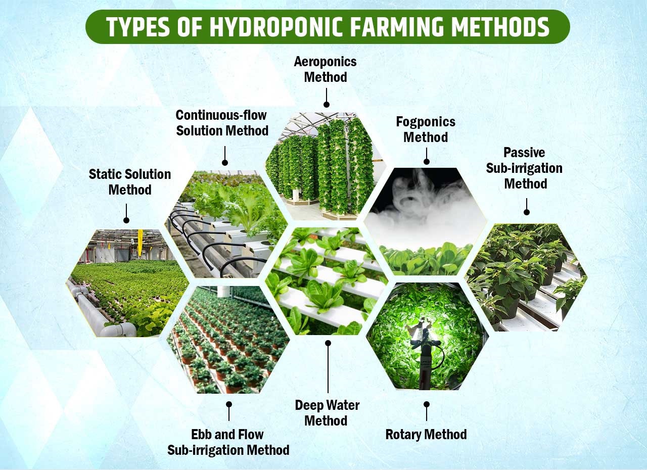 Types Of Hydroponic Farming Methods