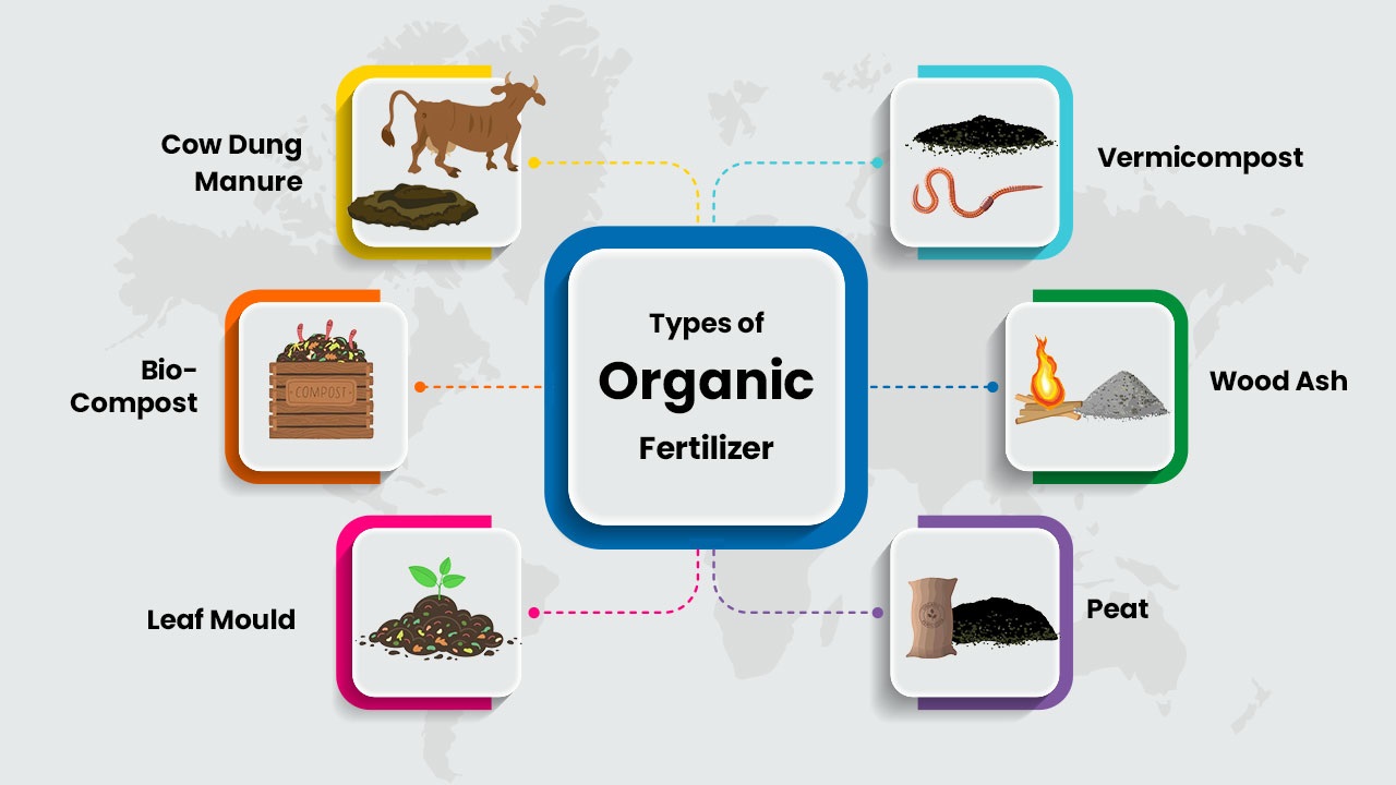 Types of Organic Fertilizer 