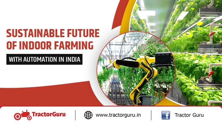 Sustainable Future of Indoor Farming With Automation in India