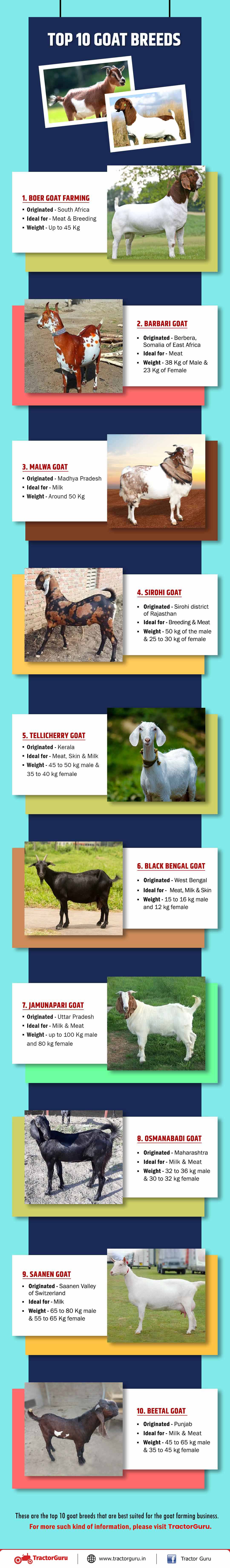 Top 10 Goat Breed Infographic 2022