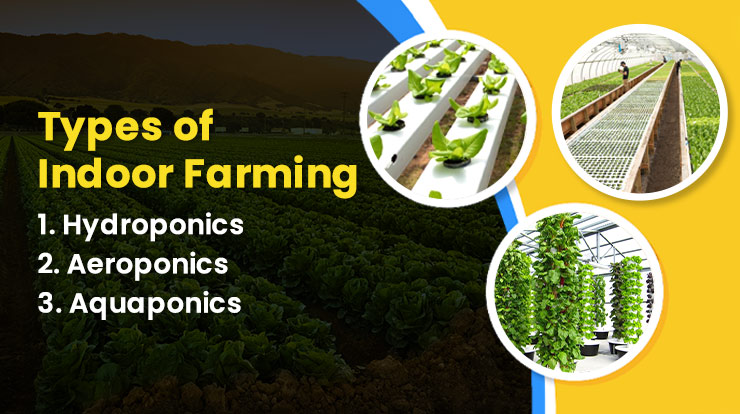 Types of Indoor Farming
