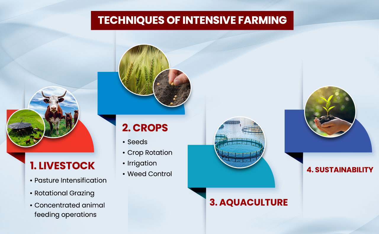 Techniques of Intensive Farming 
