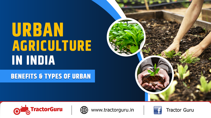 Urban Agriculture in India - Types & Benefits of Urban Agriculture