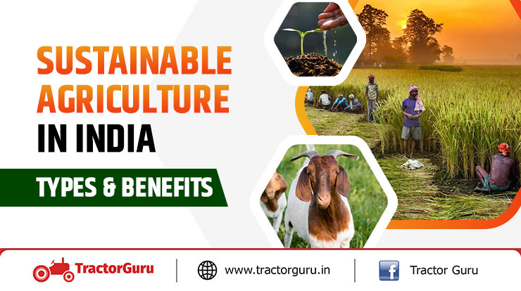 Sustainable Agriculture in India - Types & Benefits