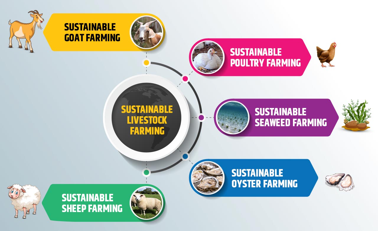 Sustainable Livestock Farming 