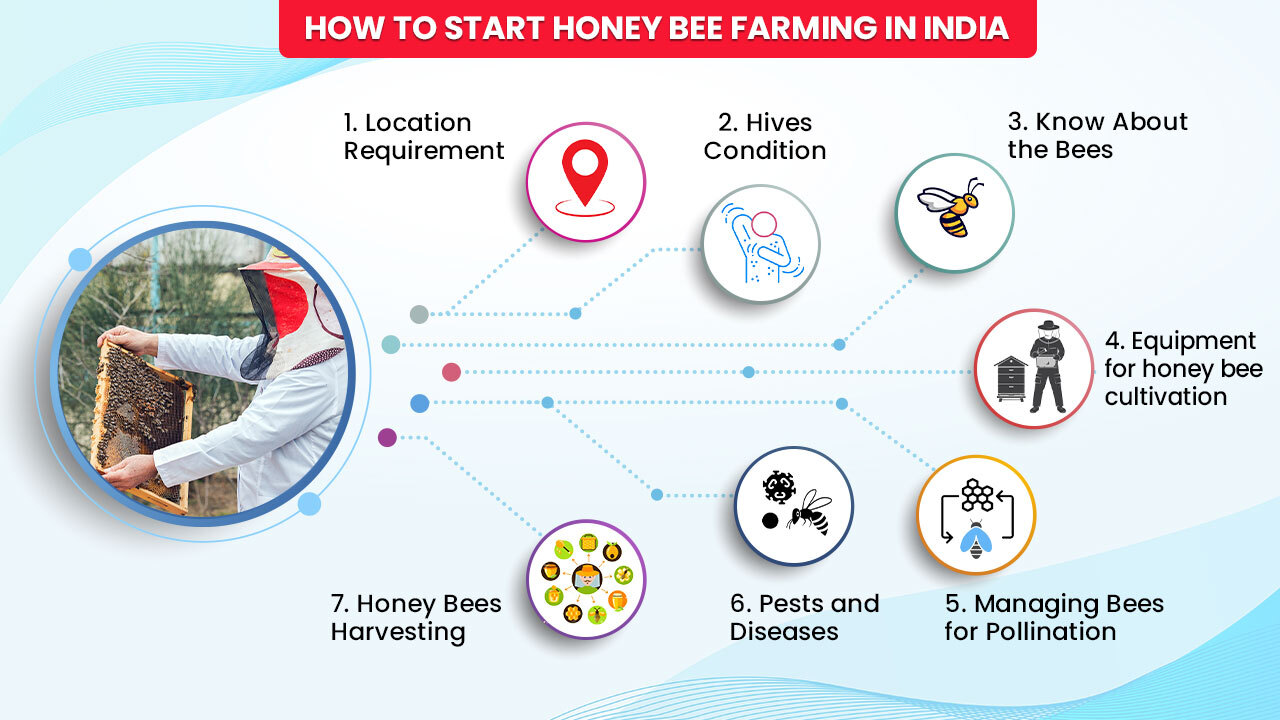 How to Start Honey Bee Farming in India