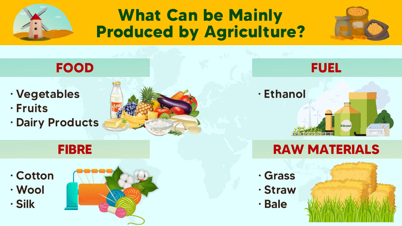 What Can be Mainly Produced by Agriculture