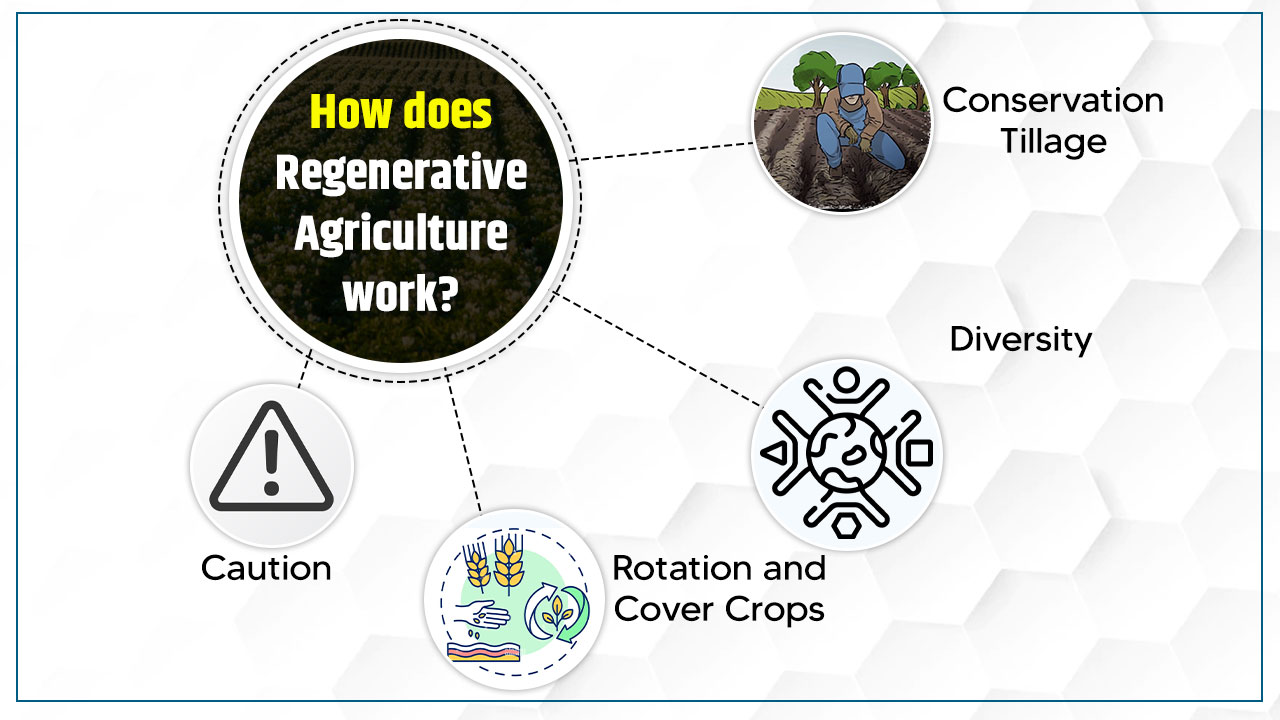 How does Regenerative Agriculture work