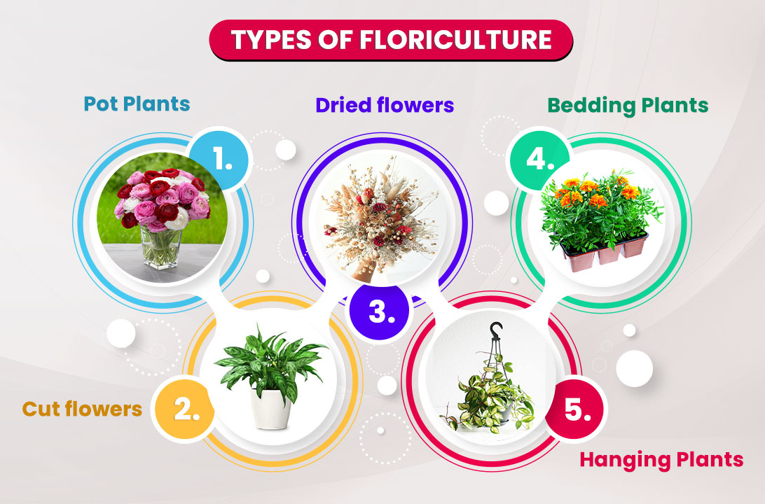  Types of Floriculture Infographic