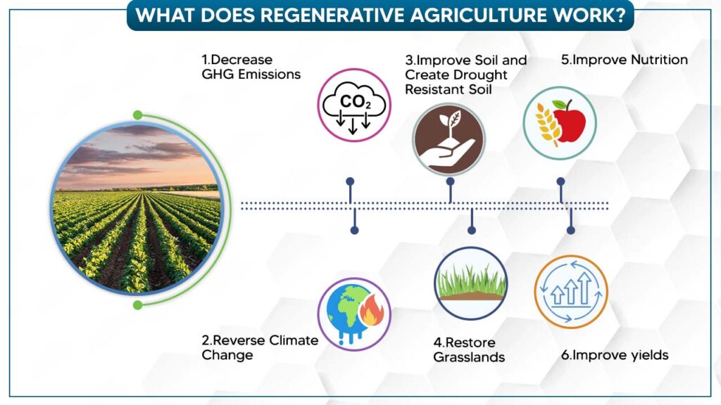 Regenerative Agriculture In India For Leading To Productive Farms