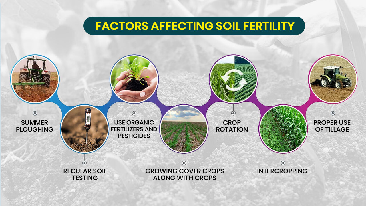Factors affecting Soil Fertility
