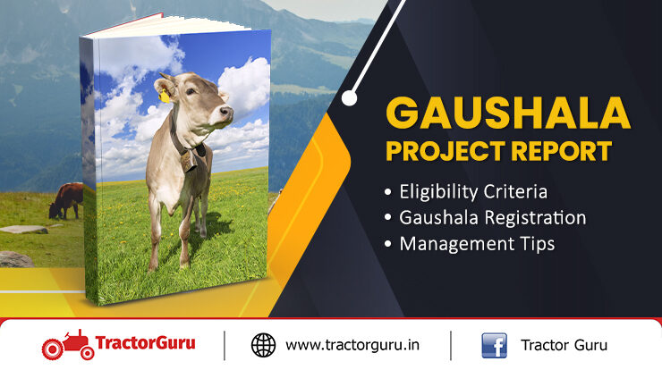 Gaushala Project Report
