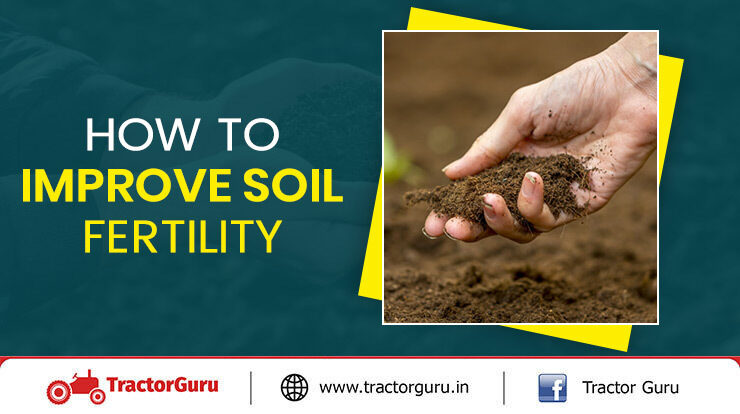 How to Improve Soil Fertility - Tips, Methods and Importance