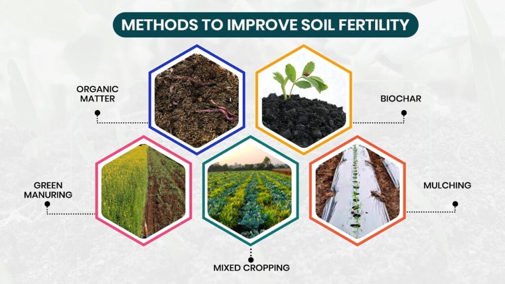 How To Improve Soil Fertility Tips Methods And Importance