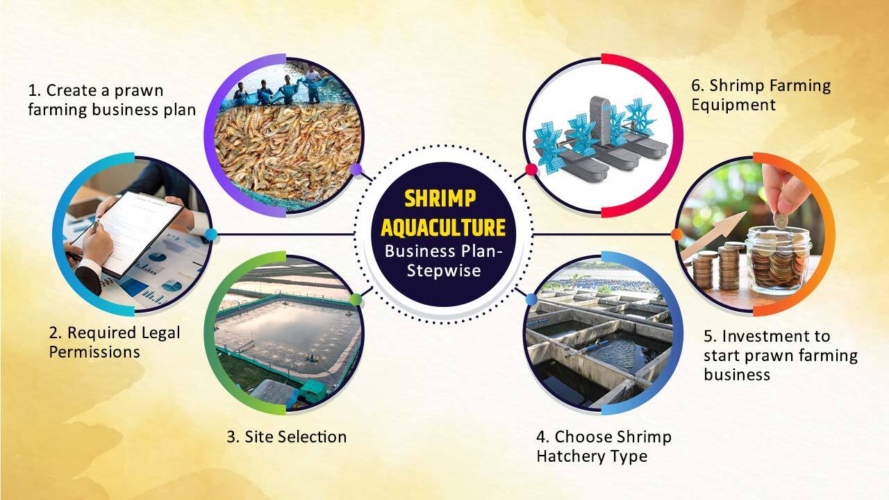 Shrimp Aquaculture Business Plan - Stepwise