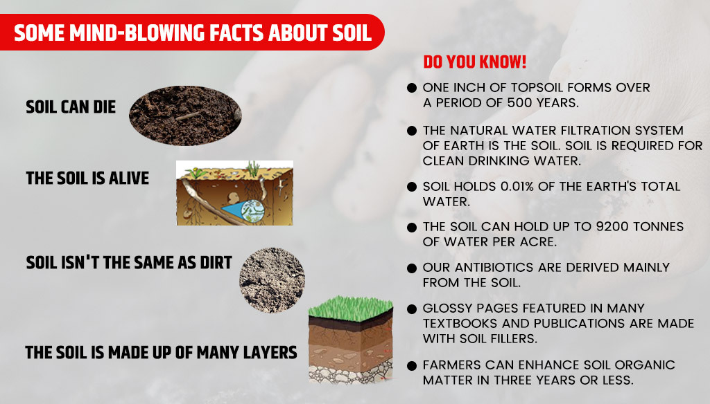 Some mind-blowing facts about Soil