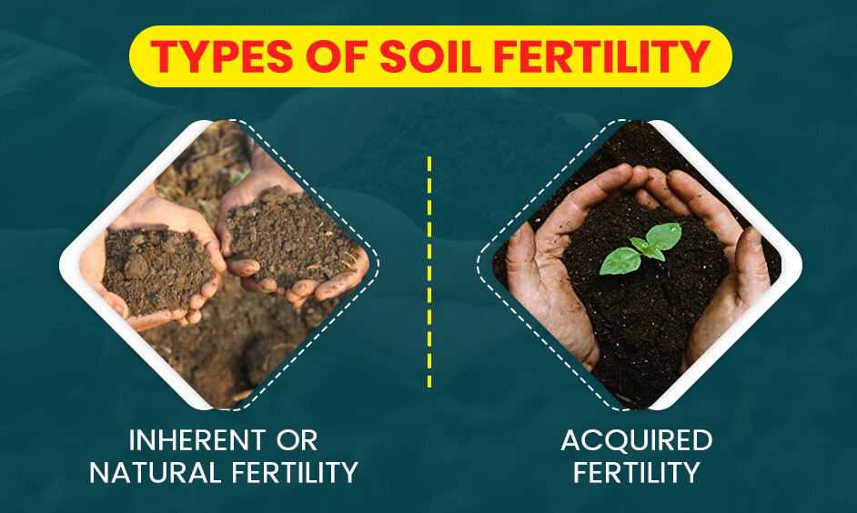 Types of Soil Fertility