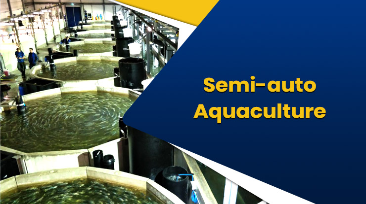 Semi-auto Aquaculture