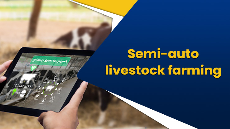 Semi-auto livestock farming