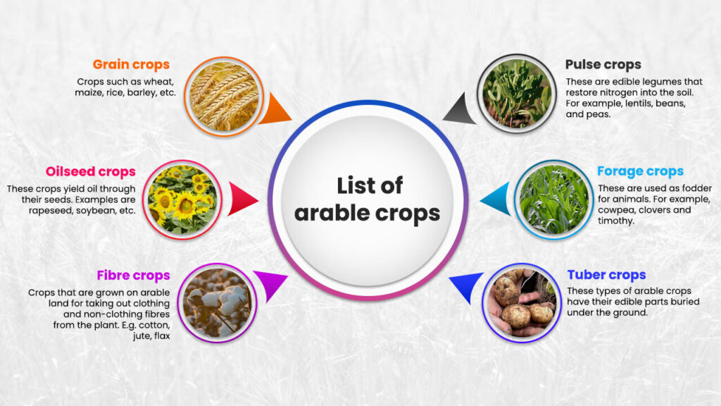 What Is Arable Land And Examples At Martha Cannon Blog What Is Arable Land And Examples At Martha Cannon Blog