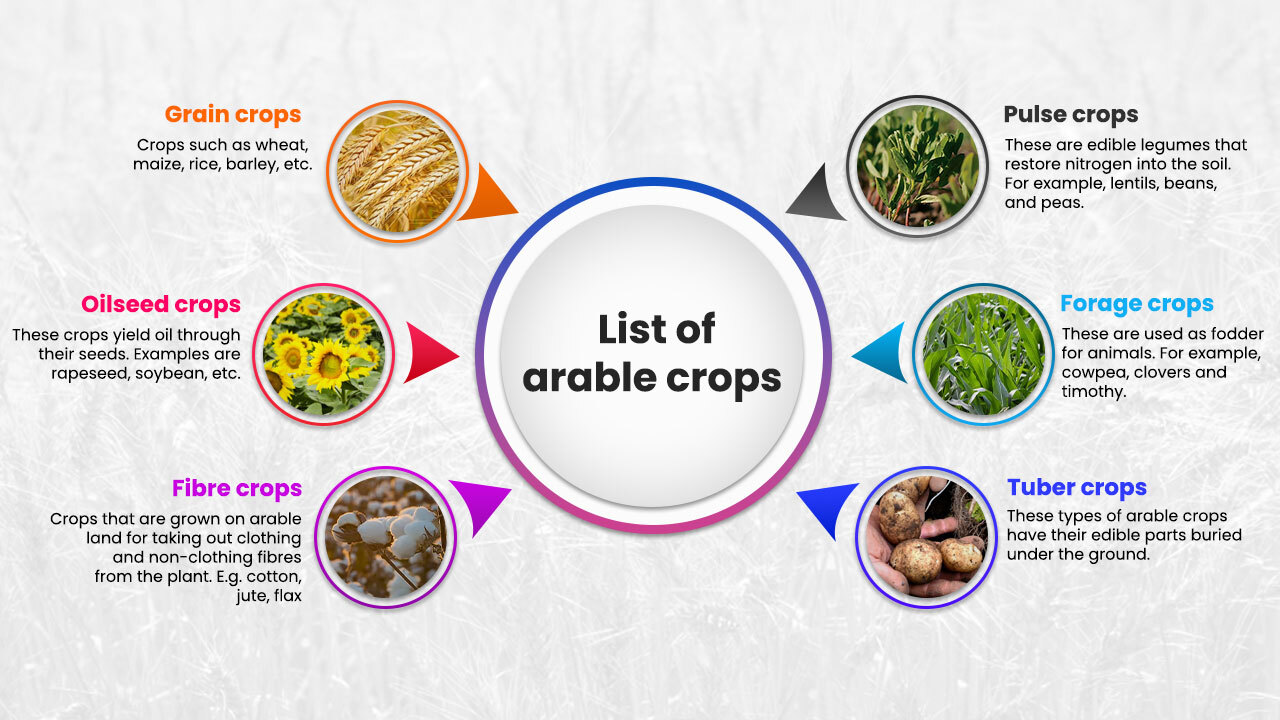 List of arable crops