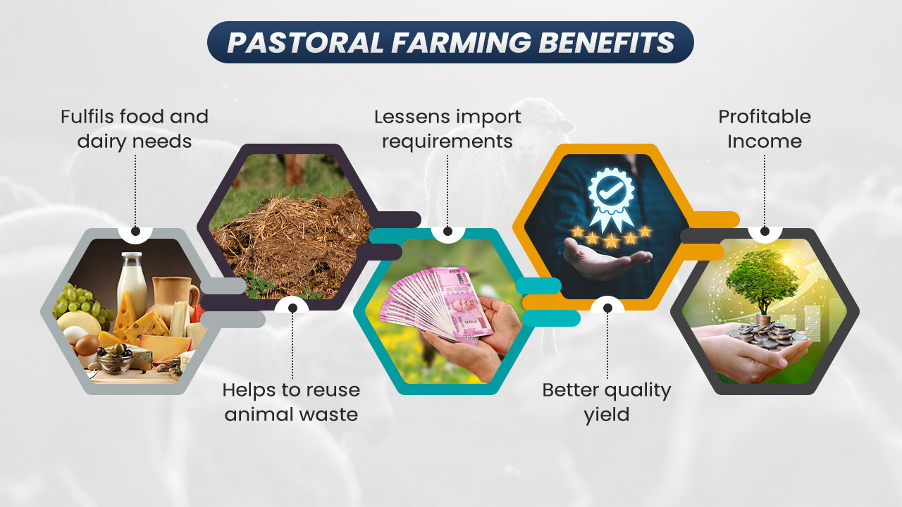 Pastoral Farming Benefits