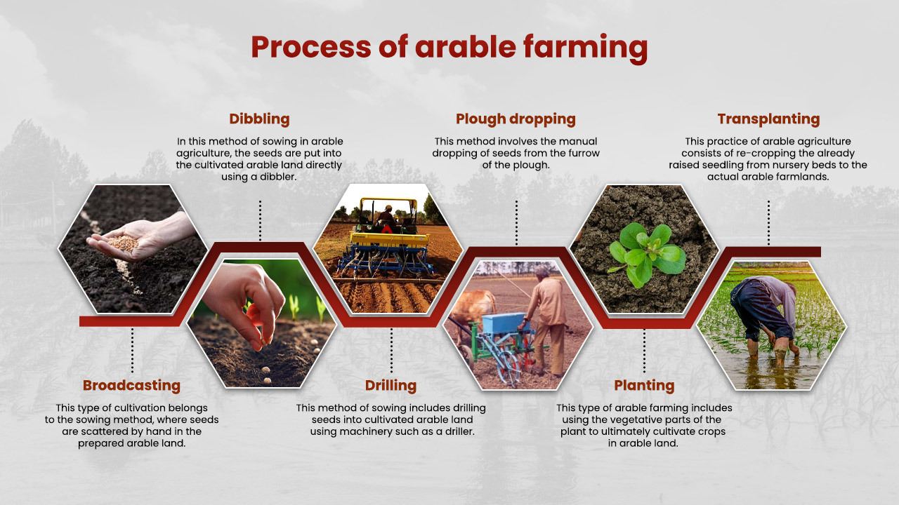Process and meaning of arable farming with example