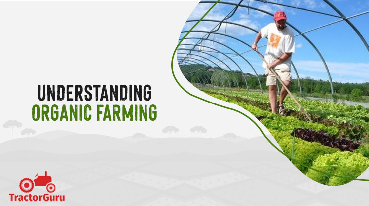 Understanding Organic Farming