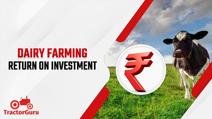 Dairy-Farming Investment