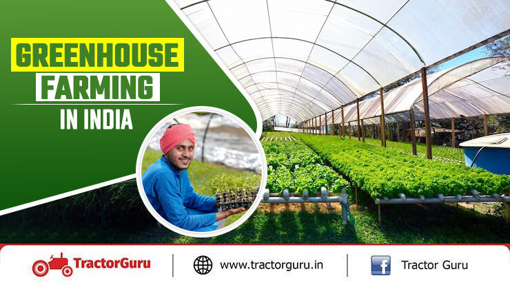 Greenhouse Farming Subsidy